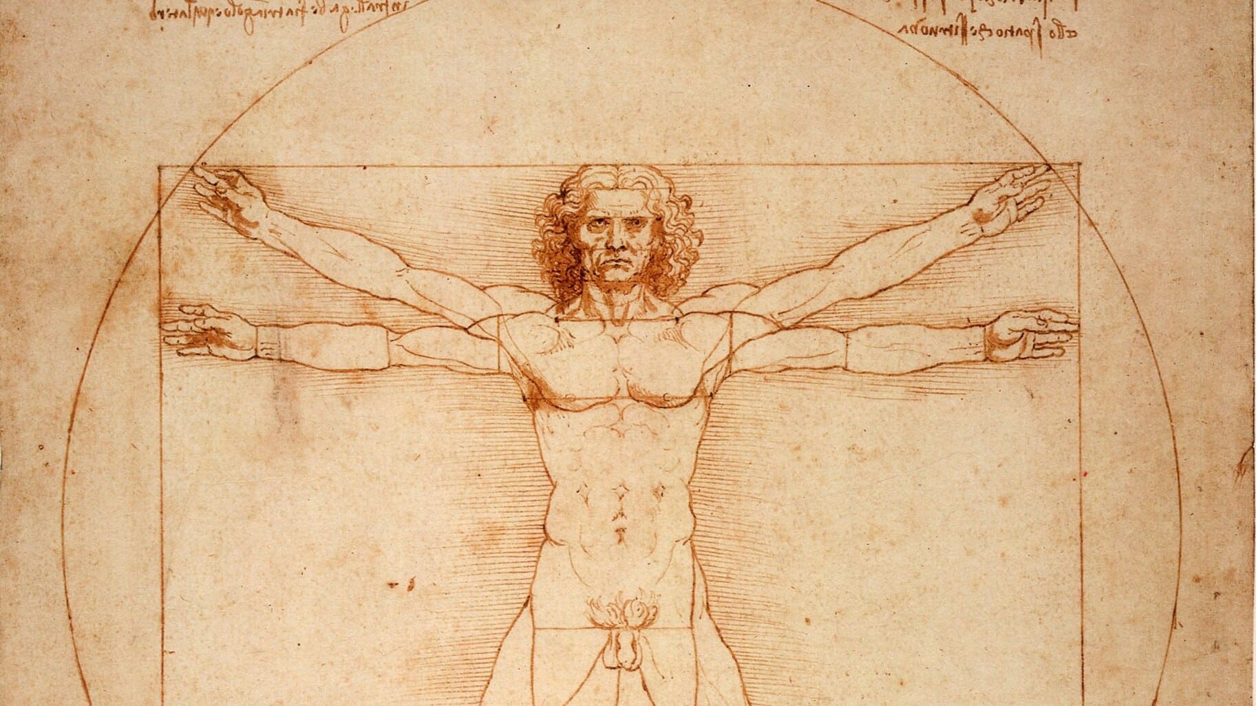 anatomia-posturale-header