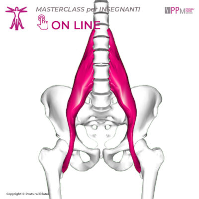masterclass-psoas masterclass-psoas